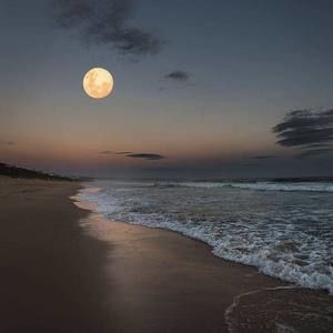 Meet your Posher, Sandy